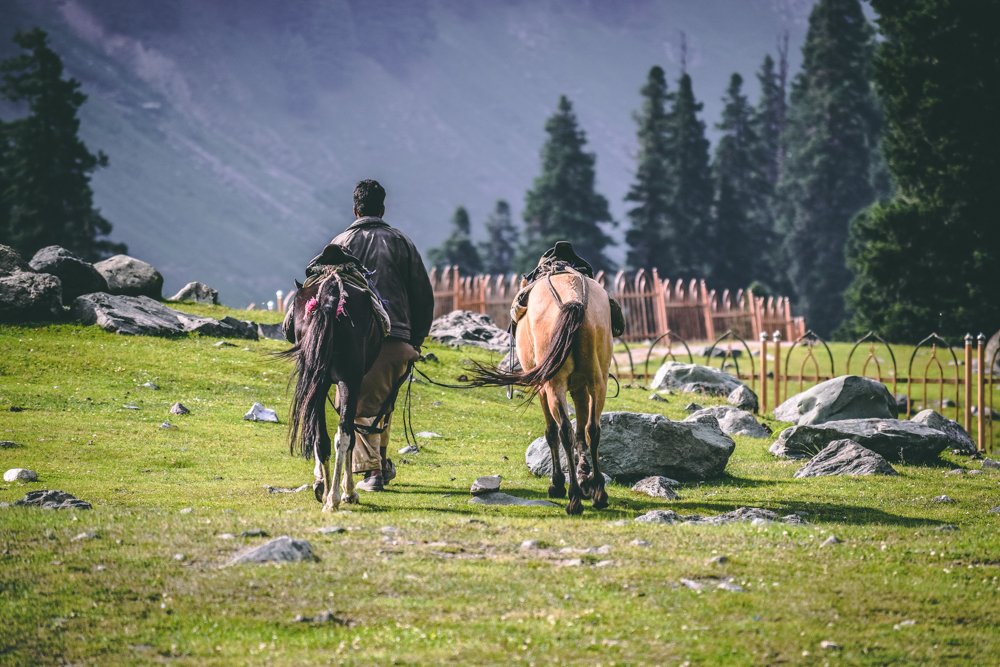 Sonmarg Kashmir destination photo